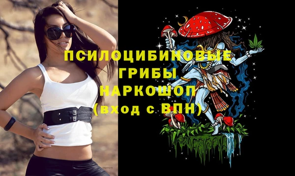 бутират Алексеевка