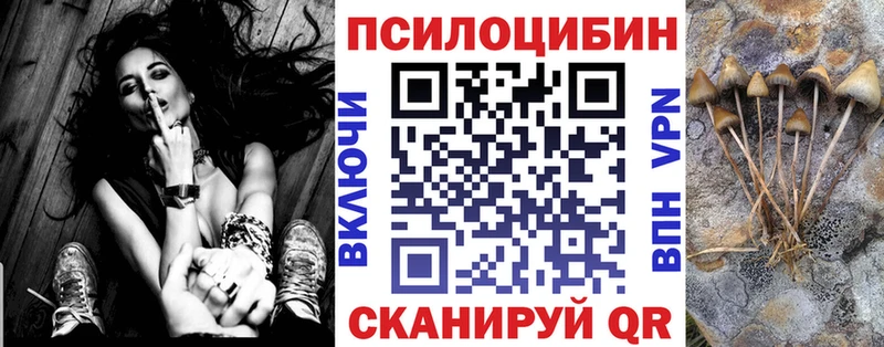 Галлюциногенные грибы мицелий  shop наркотические препараты  Бабушкин  закладки 